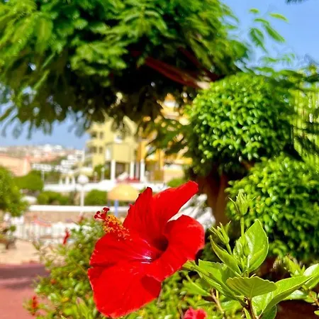 Ocean View Apartment In Orlando Costa Adeje  Esterno foto