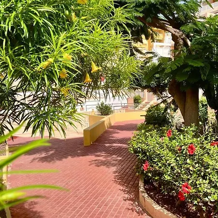 Ocean View Apartment In Orlando Costa Adeje  Esterno foto